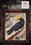 A Year in the Woods II - Part 4 - The Crow (image for) A Year in the Woods II - Part 4 - The Crow
