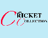 Cross Eyed Cricket